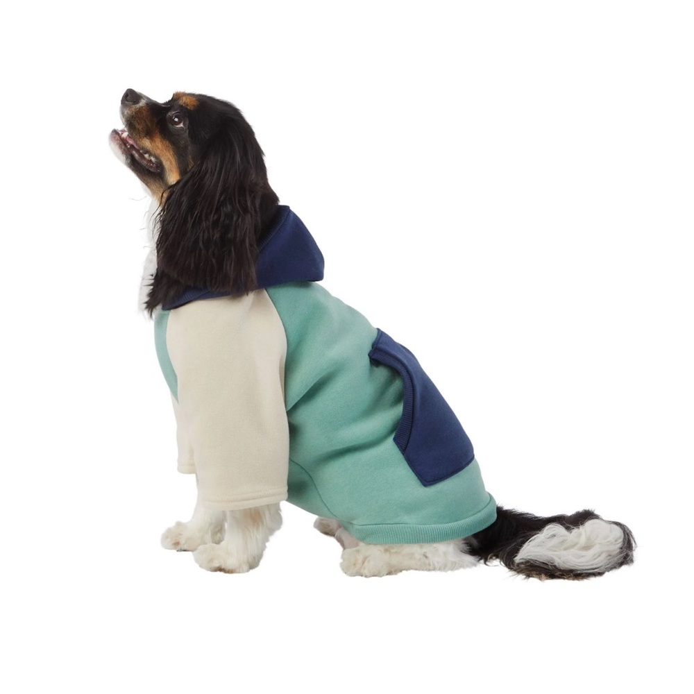 ColorBlock Dog Hoodie